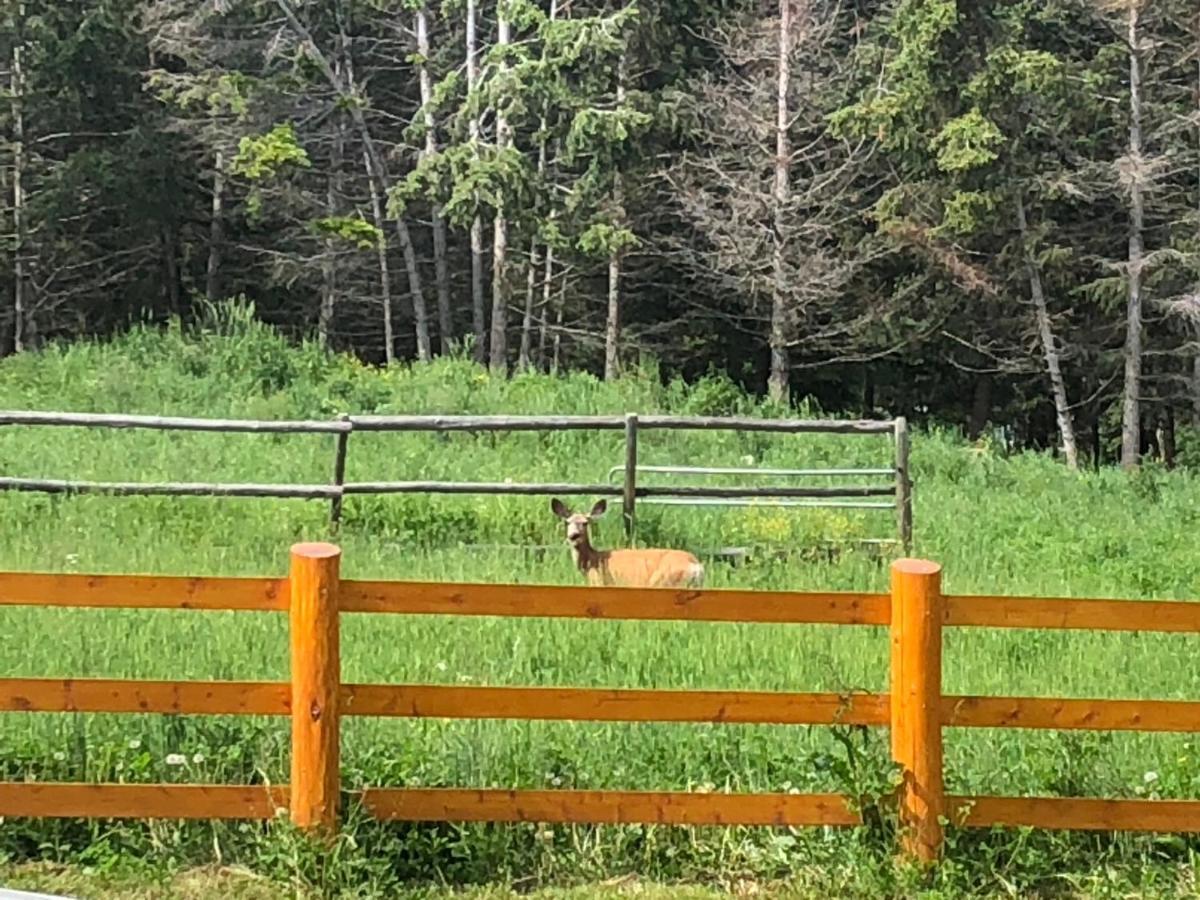 Beaver Guest Ranch Bridge Lake Екстер'єр фото